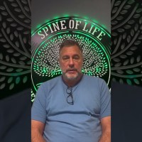 Ménière’s Disease Vertigo Dizziness resolved with upper cervical care #menieresdisease #dizziness Ménière’s Disease Vertigo Dizziness resolved with upper cervical care #menieresdisease #dizziness