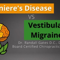 Meniere’s Disease vs Vestibular Migraine Meniere’s Disease vs Vestibular Migraine