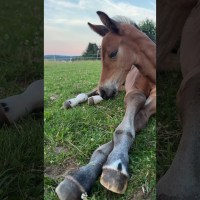 Es gibt Momente im Leben wo man einfach die Stille genießen muss Es gibt Momente im Leben wo man einfach die Stille genießen muss