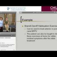 Vestibular Rehabilitation Habituation Exercise Vestibular Rehabilitation Habituation Exercise