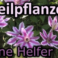 Mehr Achtsamkeit im Alltag: Tipps für Gelassenheit und Selbstfürsorge Mehr Achtsamkeit im Alltag: Tipps für Gelassenheit und Selbstfürsorge