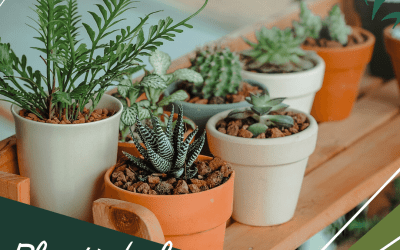 Plants Feel Pain Too Plants Feel Pain Too