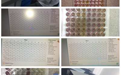 Department of Chemistry’s Day – 14 Report Department of Chemistry’s Day – 14 Report