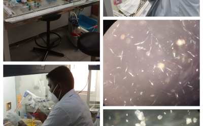 Department of Biotechnology’s Day – 17 Report Department of Biotechnology’s Day – 17 Report