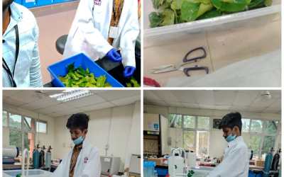 Department of Physic’s Day – 6 Report Department of Physic’s Day – 6 Report