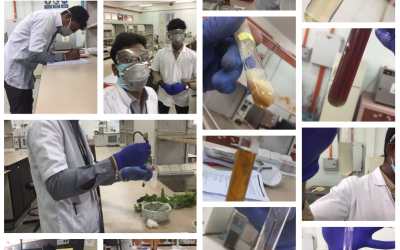 Department of Chemistry’s Day – 6 Report Department of Chemistry’s Day – 6 Report