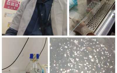 Department of Biotechnology’s Day – 7 Report Department of Biotechnology’s Day – 7 Report