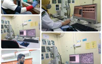 Department of Chemical Engineering’s Day – 24 Report Department of Chemical Engineering’s Day – 24 Report