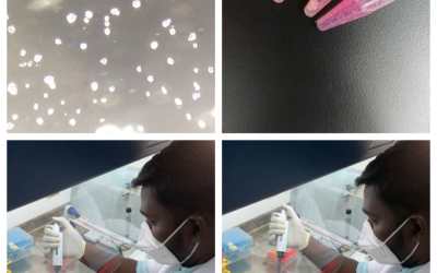 Department of Biotechnology’s Day – 21 Report Department of Biotechnology’s Day – 21 Report