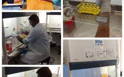 Department of Biotechnology’s Day – 7 Report Department of Biotechnology’s Day – 7 Report