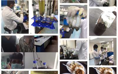 Department of Chemistry’s Day – 7 Report Department of Chemistry’s Day – 7 Report