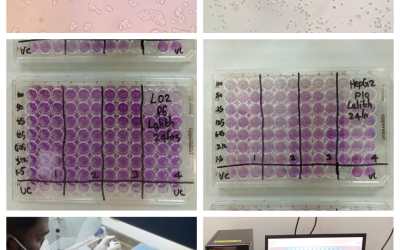Department of Biotechnology’s Day – 22 Report Department of Biotechnology’s Day – 22 Report