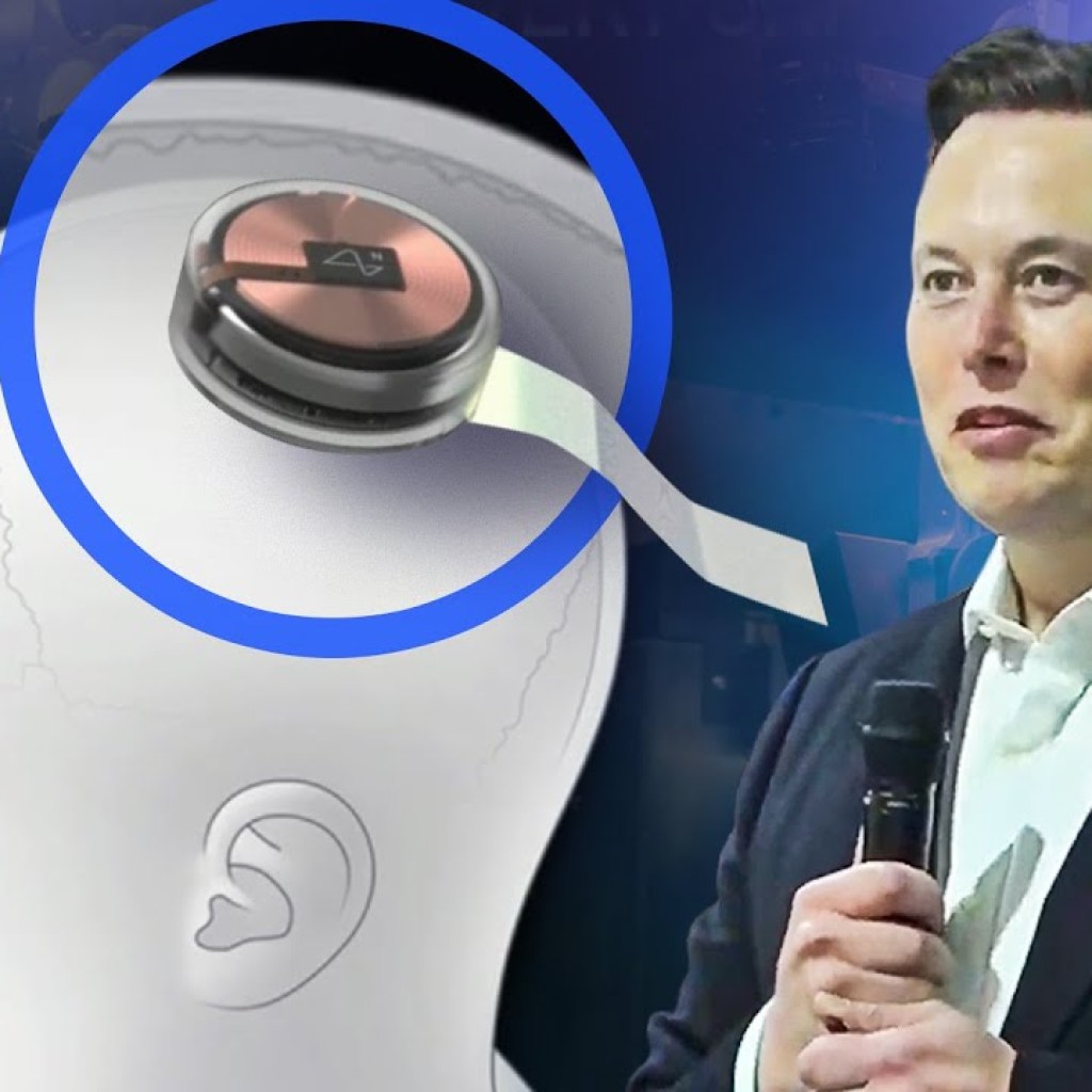 Neuralink Brain Chip Neuralink Brain Chip