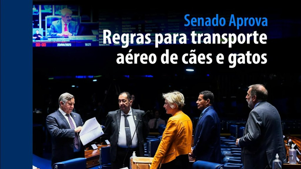 regras para transporte aéreo de cães e gatos — Senado Notícias regras para transporte aéreo de cães e gatos — Senado Notícias