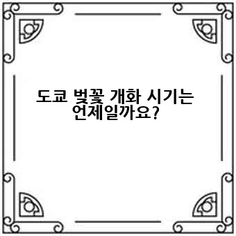 2025년 도쿄 벚꽃구경 추천 장소 TOP 4: 꿈같은 봄날을 선물하세요! 2025년 도쿄 벚꽃구경 추천 장소 TOP 4: 꿈같은 봄날을 선물하세요!