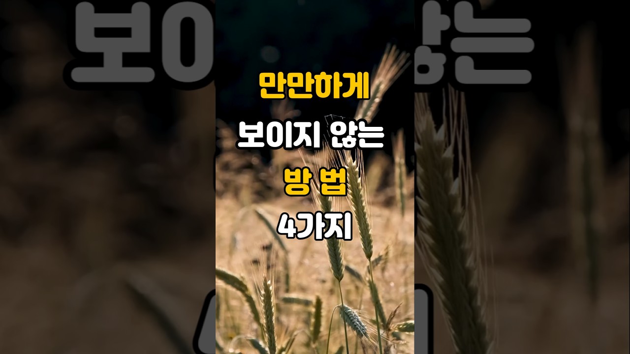 만만하게 보이지 않는 방법 4가지#인생지혜 #인생조언 #동기부여 #명언 #오디오북 만만하게 보이지 않는 방법 4가지#인생지혜 #인생조언 #동기부여 #명언 #오디오북