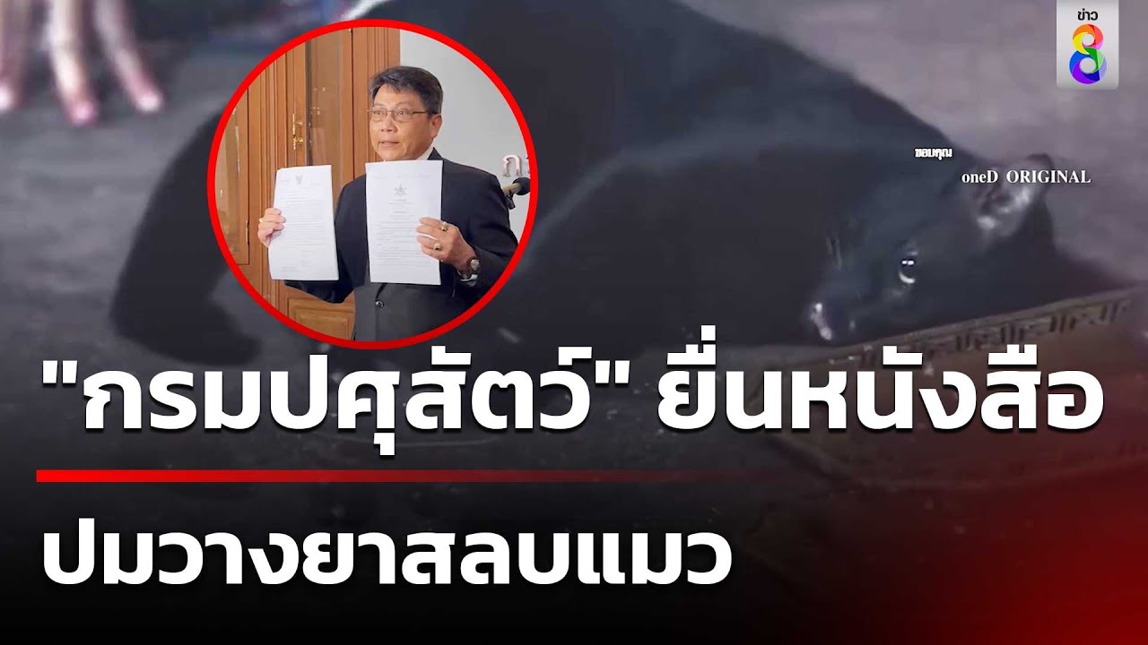 “กรมปศุสัตว์”ส่งหนังสือถึงช่อง เข้ามาให้ข้อมูล 18 พ.ย. ทำผิด พ.ร.บ.? | 12 พ.ย. 67 | คุยข่าวเช้าช่อง8 “กรมปศุสัตว์”ส่งหนังสือถึงช่อง เข้ามาให้ข้อมูล 18 พ.ย. ทำผิด พ.ร.บ.? | 12 พ.ย. 67 | คุยข่าวเช้าช่อง8