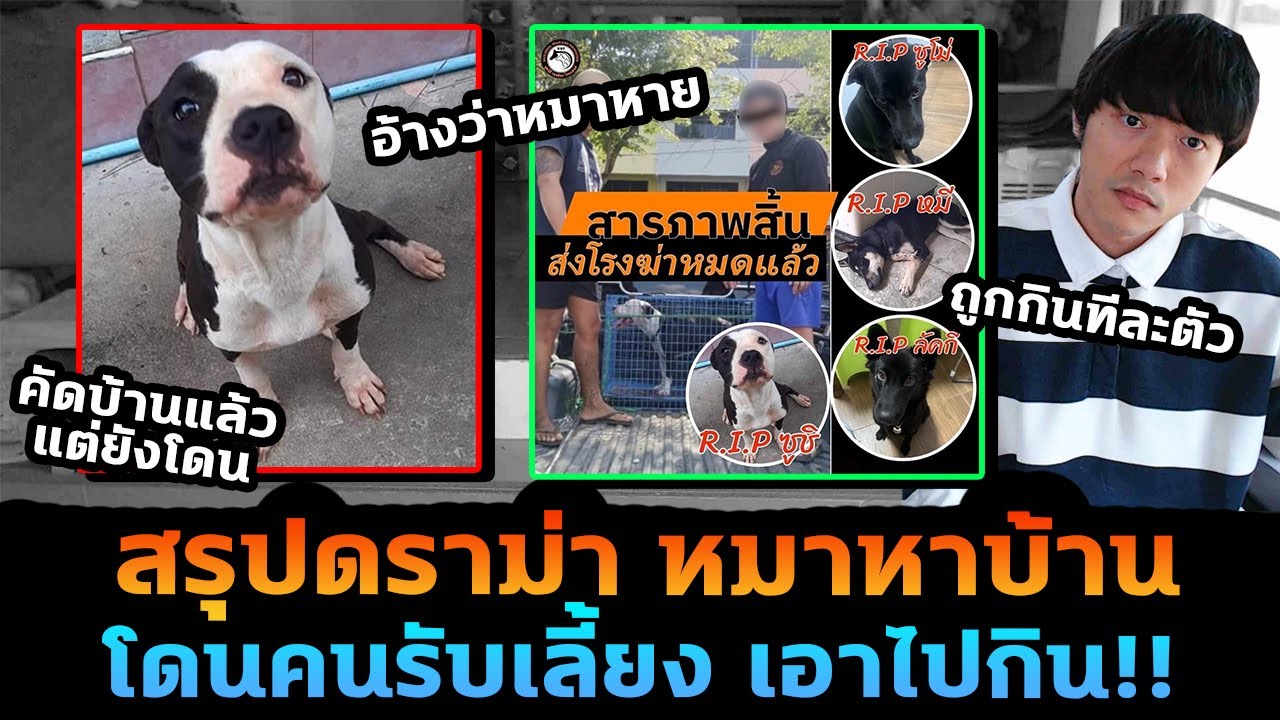 เจ้าของโพสต์หาบ้านให้หมา แต่สุดท้ายคนรับเลี้ยง เอาไปกิน?!! เจ้าของโพสต์หาบ้านให้หมา แต่สุดท้ายคนรับเลี้ยง เอาไปกิน?!!