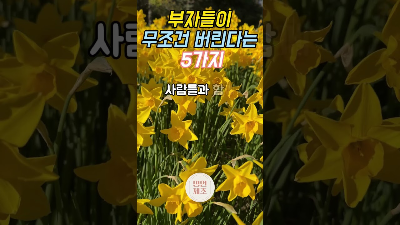 부자들이 무조건 버린다는 5가지. #오디오북 #인간관계 #조언 #인생명언 #처세 #명언 #동기부여 #좋은글 #명언  #지혜 #자기계발 #인생조언 #지혜 부자들이 무조건 버린다는 5가지. #오디오북 #인간관계 #조언 #인생명언 #처세 #명언 #동기부여 #좋은글 #명언  #지혜 #자기계발 #인생조언 #지혜