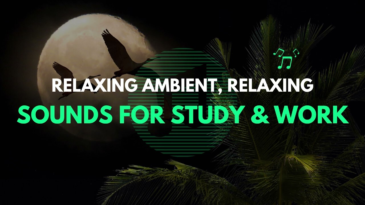 Relaxing Ambient Sounds for Study & Work Relaxing Ambient Sounds for Study & Work