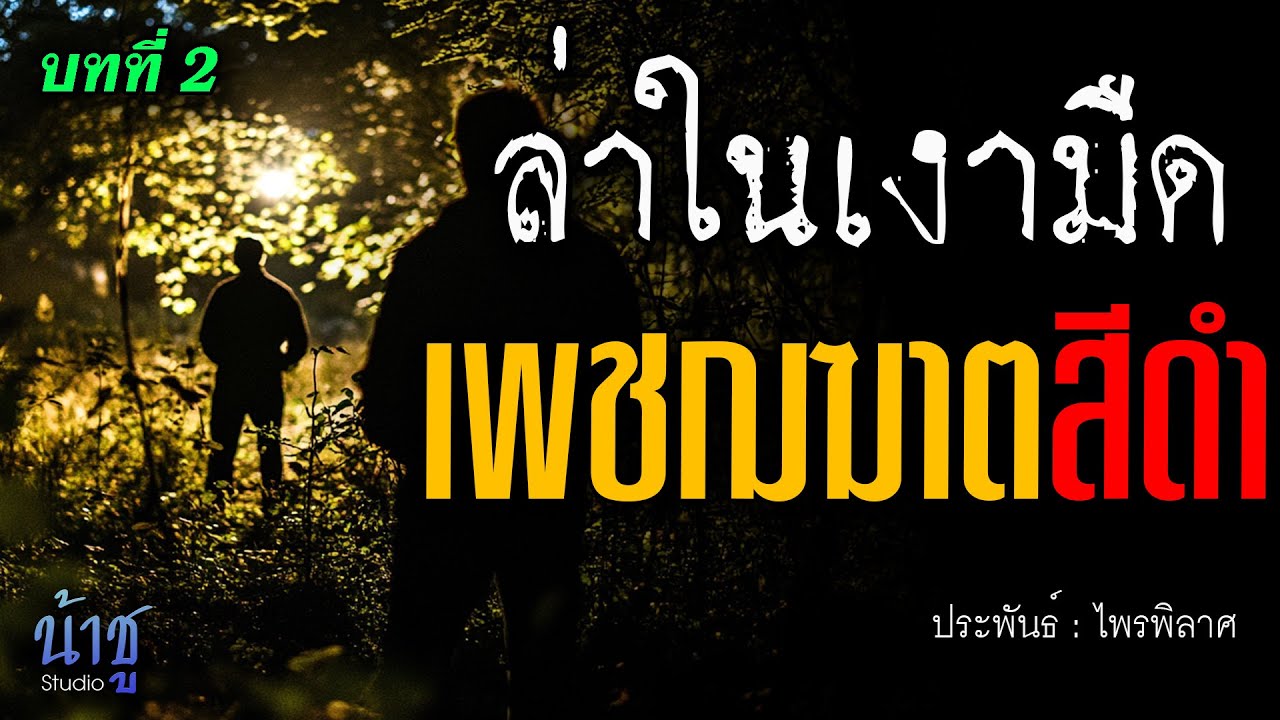 เพชฌฆาตสีดำ! บทที่ 2 ล่าในเงามืด | นิยายเสียง🎙️น้าชู เพชฌฆาตสีดำ! บทที่ 2 ล่าในเงามืด | นิยายเสียง🎙️น้าชู