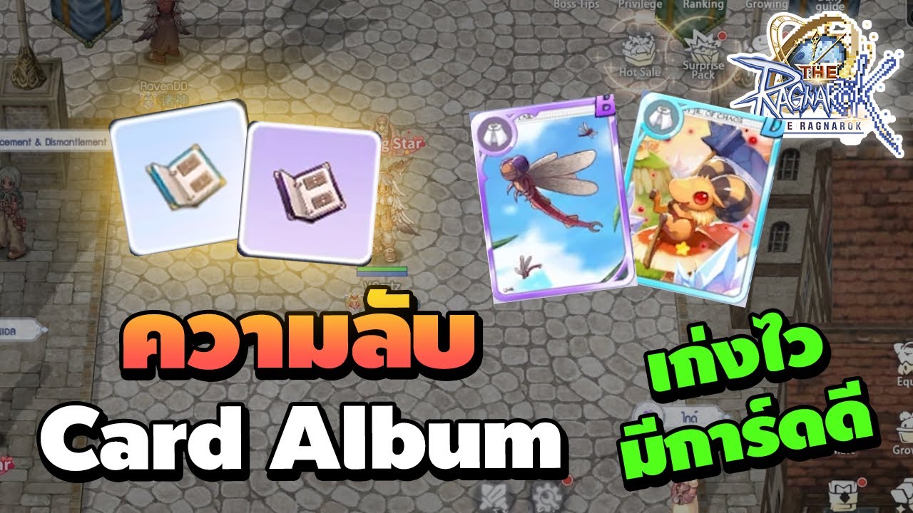 ความลับ Card Album รู้ก่อน เก่งไว มีการ์ดดีๆใช้ | The Ragnarok ความลับ Card Album รู้ก่อน เก่งไว มีการ์ดดีๆใช้ | The Ragnarok