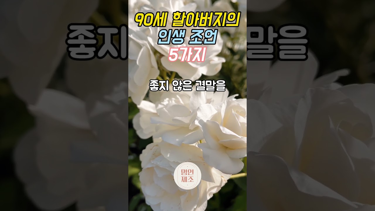 90세 할아버지의 인생조언 5가지. #오디오북 #인간관계 #조언 #인생명언 #처세 #명언 #동기부여 #좋은글 #명언  #지혜 #자기계발 #인생조언 #지혜 90세 할아버지의 인생조언 5가지. #오디오북 #인간관계 #조언 #인생명언 #처세 #명언 #동기부여 #좋은글 #명언  #지혜 #자기계발 #인생조언 #지혜