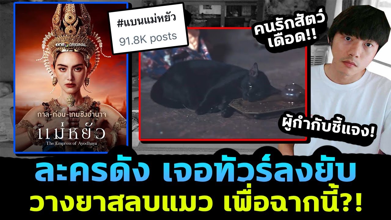 ดราม่าละครดัง แม่หยัว เจอทัวร์ลงยับ! ใช้แมวจริงเข้าฉาก ชาวเน็ตเดือดแห่แบนเพียบ!? ดราม่าละครดัง แม่หยัว เจอทัวร์ลงยับ! ใช้แมวจริงเข้าฉาก ชาวเน็ตเดือดแห่แบนเพียบ!?