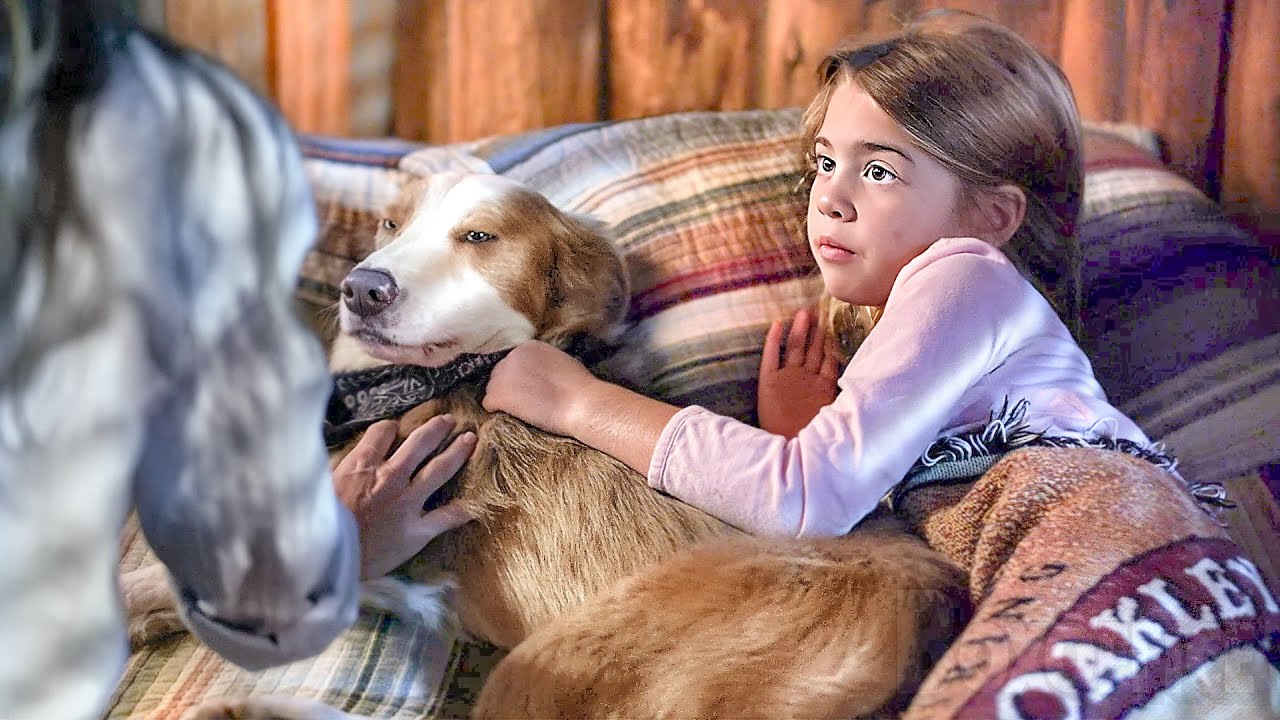 A Loyal Companion | KIDS | Full Movie in English A Loyal Companion | KIDS | Full Movie in English