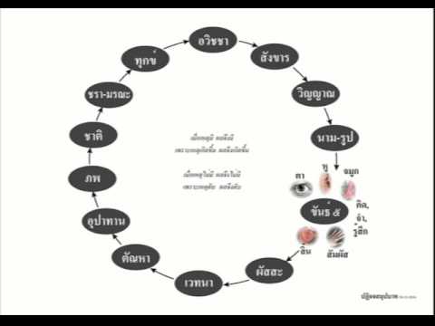 ปฏิจจสมุปบาท เหตุผลแห่งวัฏสงสาร เสียงอ่านหนังสือชุดที่ 1 ปฏิจจสมุปบาท เหตุผลแห่งวัฏสงสาร เสียงอ่านหนังสือชุดที่ 1
