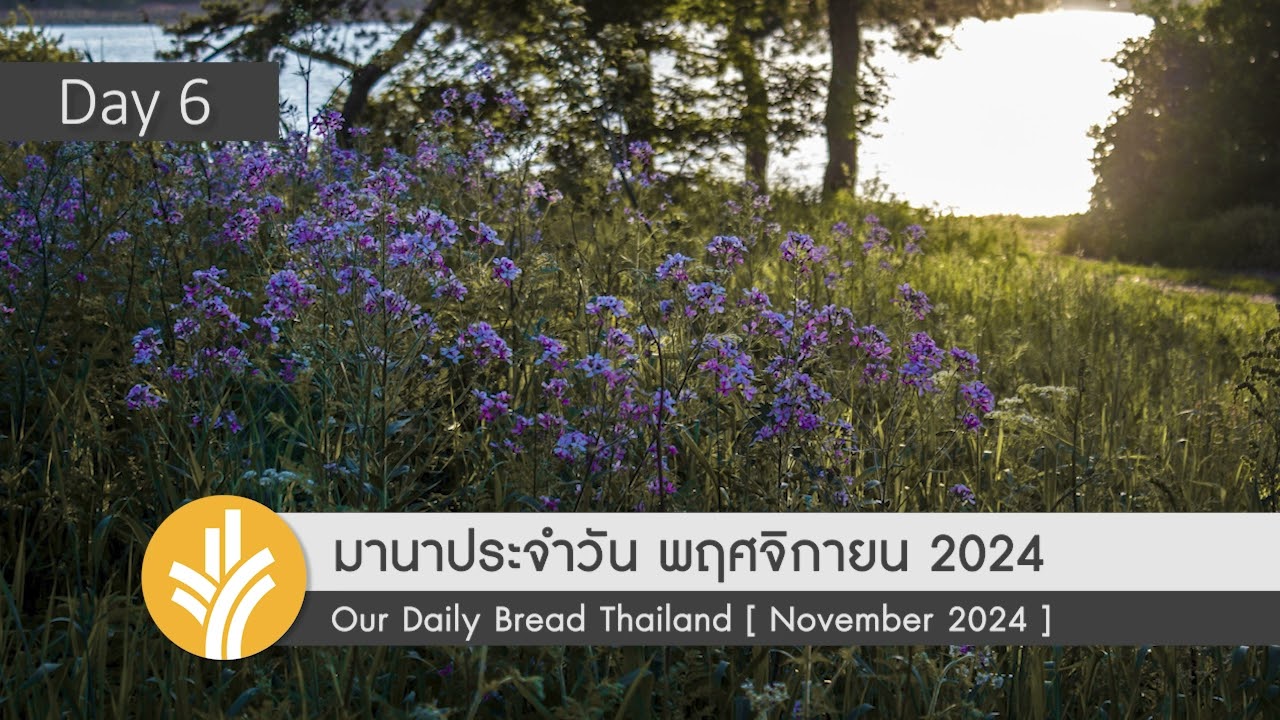 มานาประจำวัน 06 November 2024 เกือบถูกก็คือผิด มานาประจำวัน 06 November 2024 เกือบถูกก็คือผิด