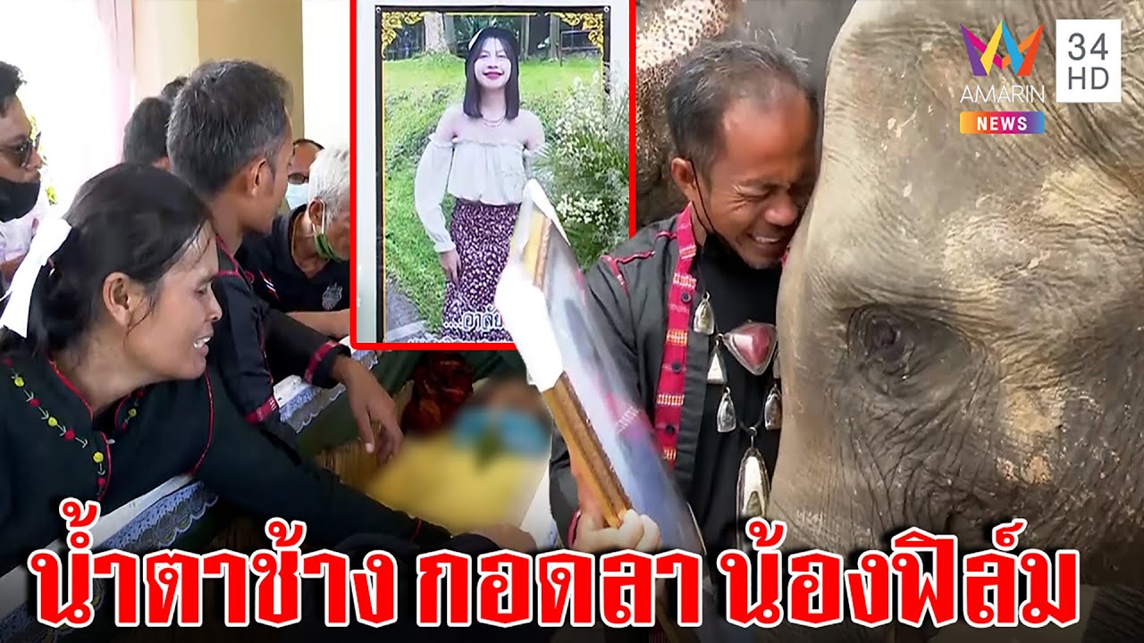 ช้าง ”สุพรรษา” ซึมงวงกอดรูปน้องฟิล์มก่อนเผา ป้าถูกสิง-แม่เปิดโลงลาใจจะขาด | ทุบโต๊ะข่าว | 06/09/65 ช้าง ”สุพรรษา” ซึมงวงกอดรูปน้องฟิล์มก่อนเผา ป้าถูกสิง-แม่เปิดโลงลาใจจะขาด | ทุบโต๊ะข่าว | 06/09/65