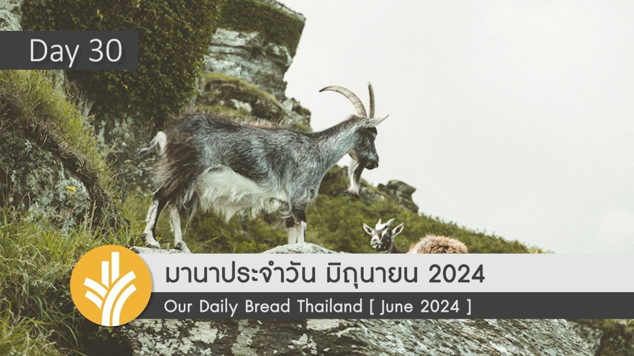 มานาประจำวัน 30 June 2024 เป็นเรื่องอะไรของเจ้าเล่า มานาประจำวัน 30 June 2024 เป็นเรื่องอะไรของเจ้าเล่า