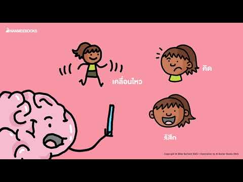 ทำความรู้จักสมอง ในหนึ่งวัน สมองของเราทำหน้าที่อะไรบ้าง  | Nanmeebooks ทำความรู้จักสมอง ในหนึ่งวัน สมองของเราทำหน้าที่อะไรบ้าง  | Nanmeebooks