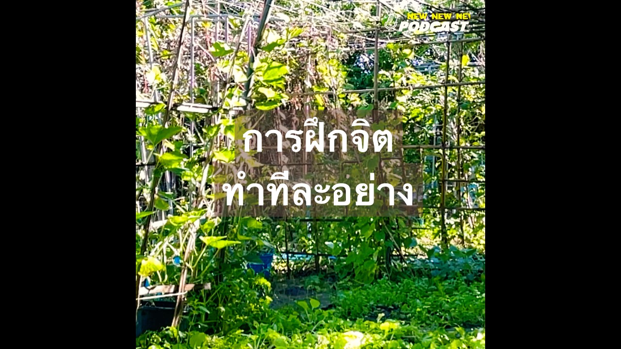 การปฏิบัติคือการฝึกจิต “ทำทีละอย่าง” การปฏิบัติคือการฝึกจิต “ทำทีละอย่าง”