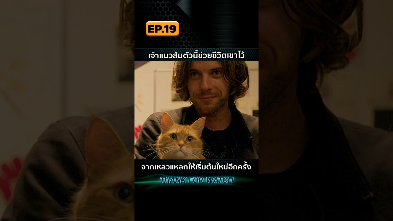 EP.19 แมวส้มตัวนี้ช่วยชีวิตเขาไว้ จากเหลวแหลกให้เริ่มต้นใหม่อีกครั้ง EP.19 แมวส้มตัวนี้ช่วยชีวิตเขาไว้ จากเหลวแหลกให้เริ่มต้นใหม่อีกครั้ง