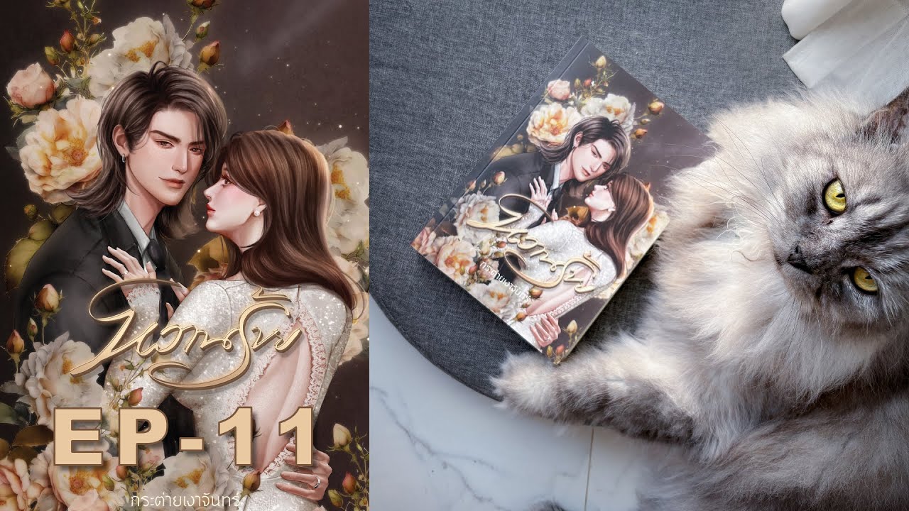 #นิยายเสียง #หนังสือเสียง  หวานร้าย   EP.11 #นิยายเสียง #หนังสือเสียง  หวานร้าย   EP.11
