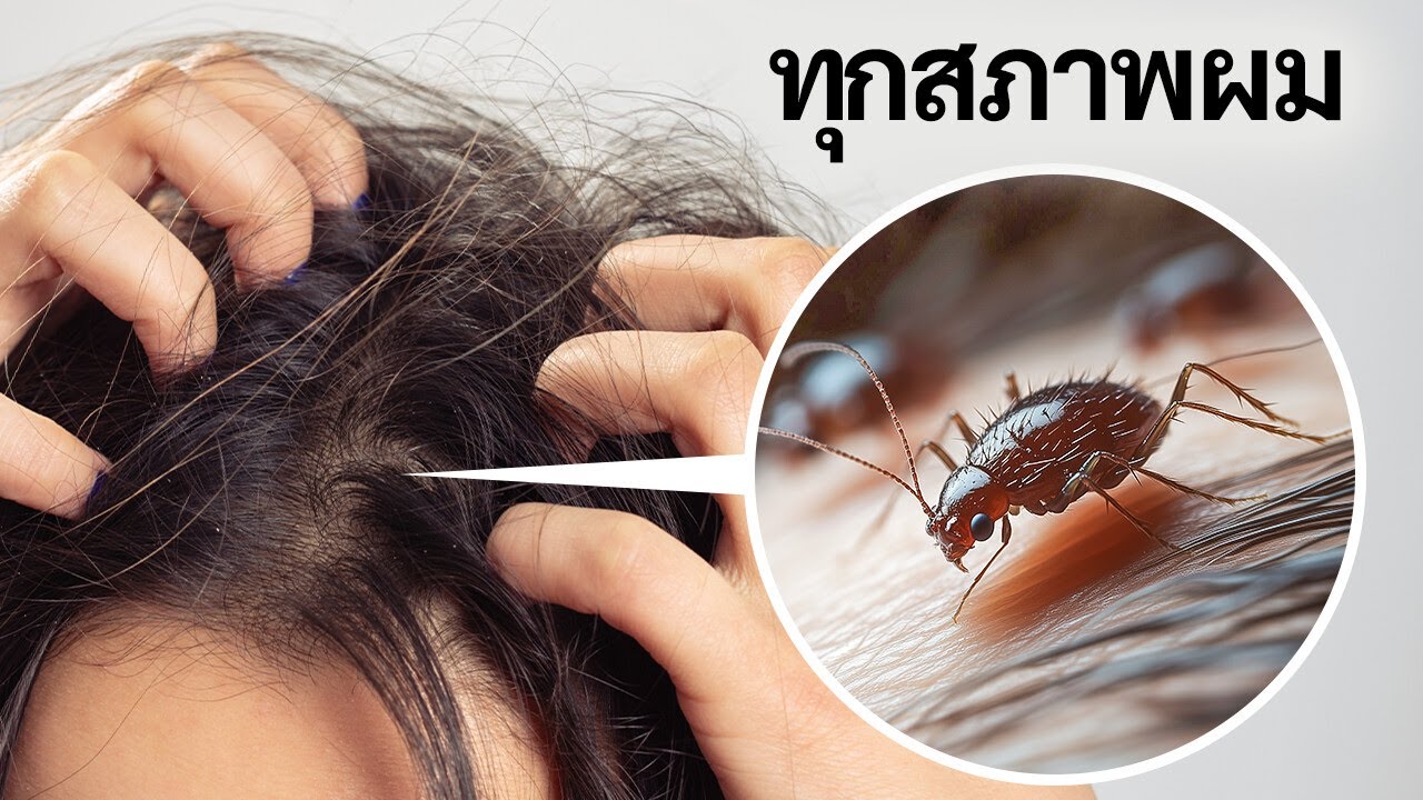 80 ตำนานเกี่ยวกับโลกนี้ที่ถูกเปิดโปง 80 ตำนานเกี่ยวกับโลกนี้ที่ถูกเปิดโปง