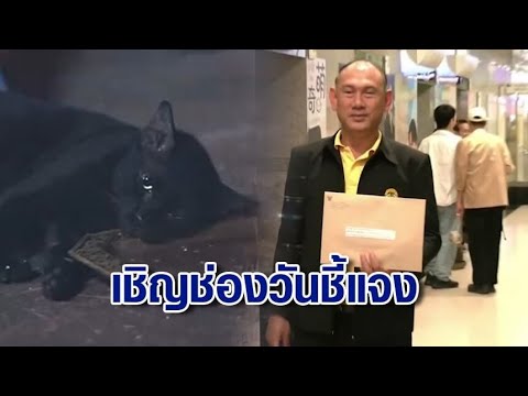 กรมปศุสัตว์ ร่อนหนังสือเชิญ ‘ช่องวัน’ ให้ข้อมูลภายใน 7 วัน ปมวางยาสลบแมวถ่ายละคร กรมปศุสัตว์ ร่อนหนังสือเชิญ ‘ช่องวัน’ ให้ข้อมูลภายใน 7 วัน ปมวางยาสลบแมวถ่ายละคร