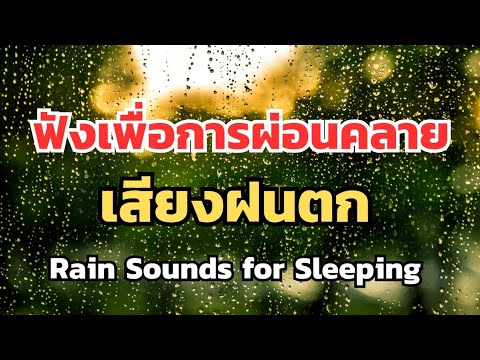 เสียงฝนตก Rain Sounds for Sleeping. #เสียงธรรมชาติ #Nature #Sounds เสียงฝนตก Rain Sounds for Sleeping. #เสียงธรรมชาติ #Nature #Sounds