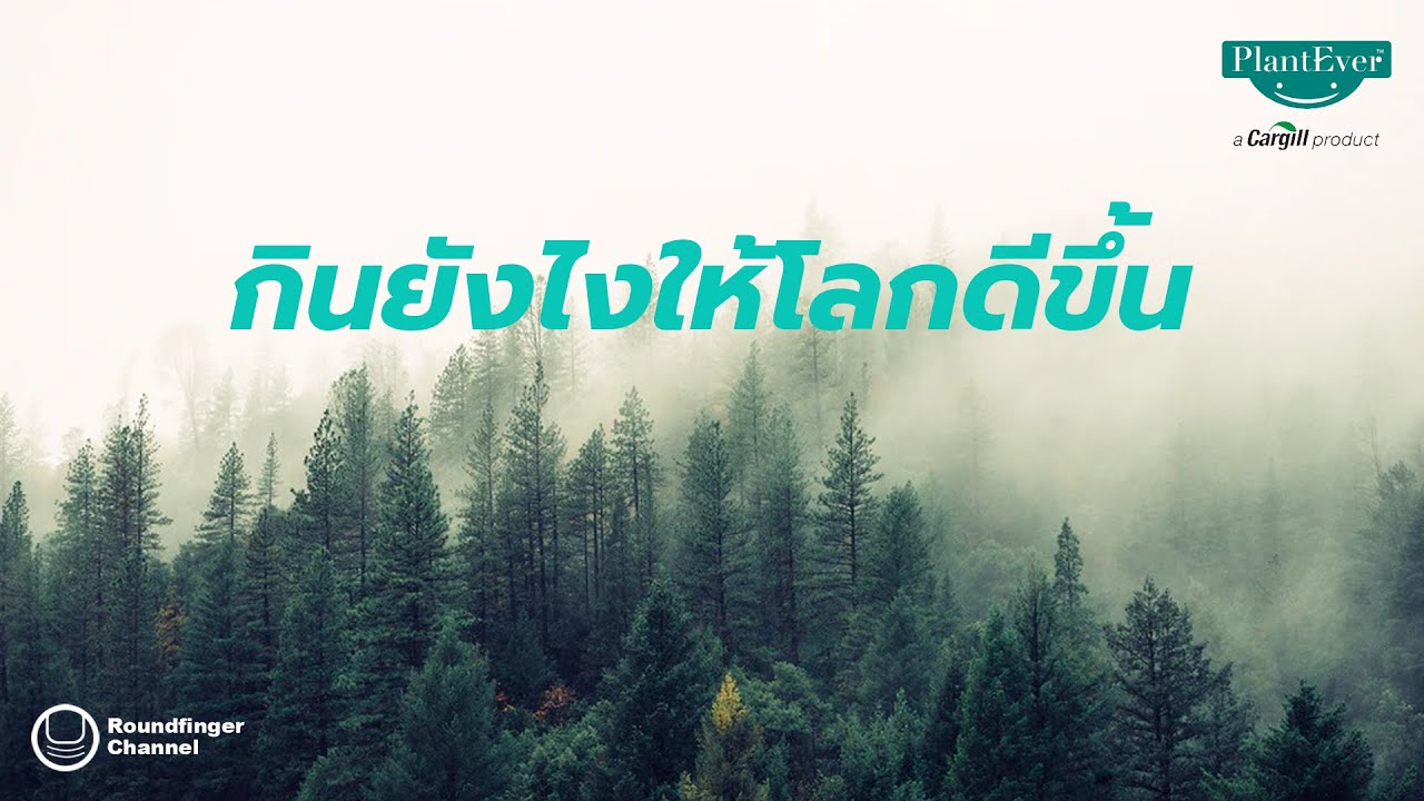 กินยังไงให้โลกดีขึ้น (รีวิว) PlantEver / โดย นิ้วกลม กินยังไงให้โลกดีขึ้น (รีวิว) PlantEver / โดย นิ้วกลม