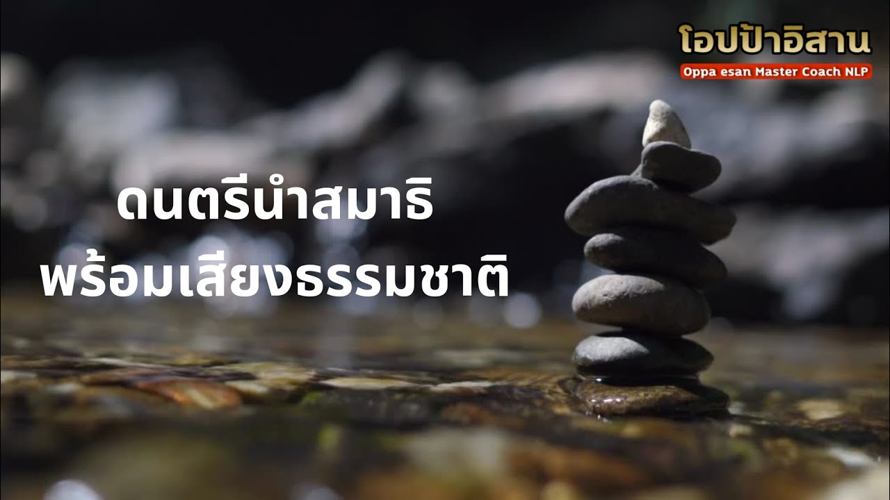 ดนตรีนำสมาธิ พร้อมเสียงธรรมชาติ ดนตรีสร้างความสงบจิตใจในยามเช้า ดนตรีผ่อนคลายสมอง ดนตรีนำสมาธิ พร้อมเสียงธรรมชาติ ดนตรีสร้างความสงบจิตใจในยามเช้า ดนตรีผ่อนคลายสมอง