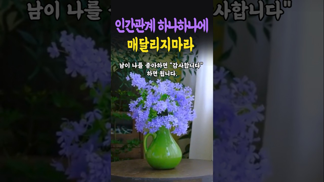 인간관계 하나하나에 매달리지마세요 인생조언 명언 행복 철학 삶의지혜 인간관계 중년의삶 인생명언 중년명언 사람문제 오디오북 인생명언#명언#좋은글 #중년조언#지혜 인간관계 하나하나에 매달리지마세요 인생조언 명언 행복 철학 삶의지혜 인간관계 중년의삶 인생명언 중년명언 사람문제 오디오북 인생명언#명언#좋은글 #중년조언#지혜