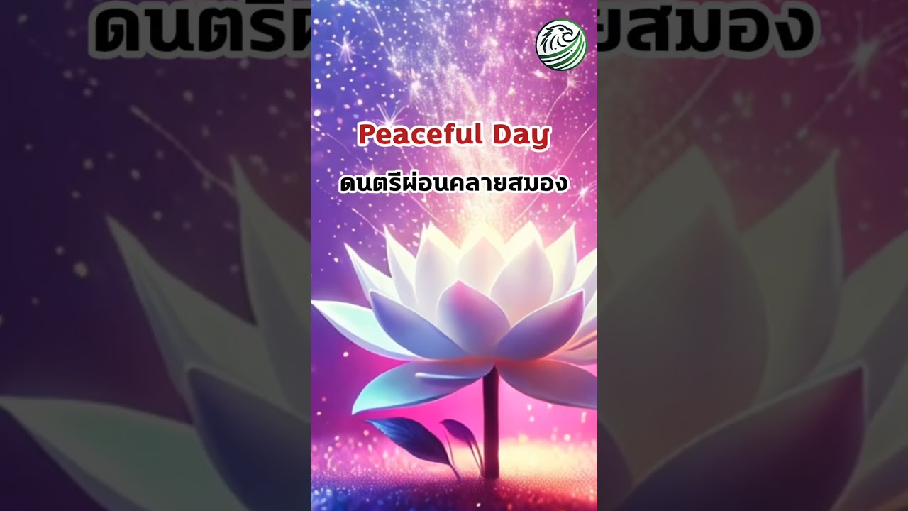Peaceful Day ดนตรีผ่อนคลายสมอง ฟังได้ทุกเวลา #ดนตรีผ่อนคลาย #relaxingmusic #shorts Peaceful Day ดนตรีผ่อนคลายสมอง ฟังได้ทุกเวลา #ดนตรีผ่อนคลาย #relaxingmusic #shorts