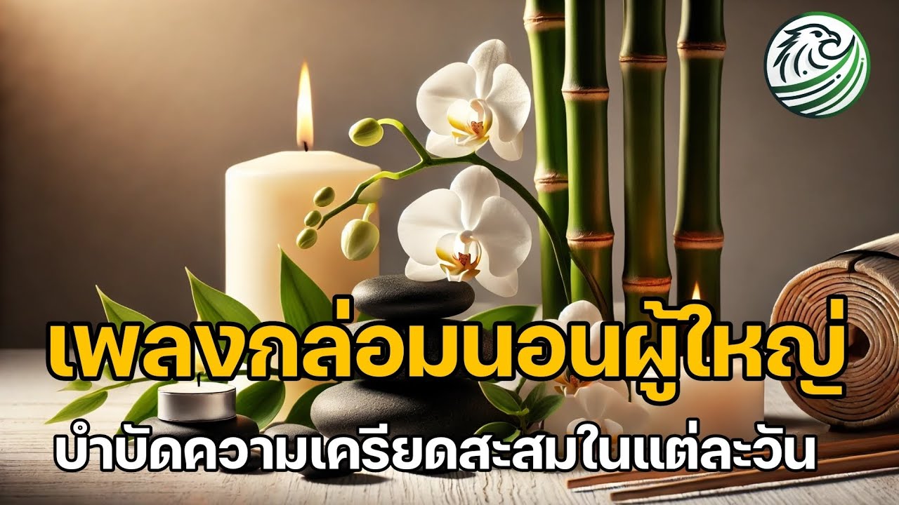 เพลงกล่อมนอนผู้ใหญ่ พร้อมเสียงธรรมชาติ บำบัดความเครียดสะสมในแต่ละวัน ฟังเพลิน ผ่อนคลาย เพลงกล่อมนอนผู้ใหญ่ พร้อมเสียงธรรมชาติ บำบัดความเครียดสะสมในแต่ละวัน ฟังเพลิน ผ่อนคลาย