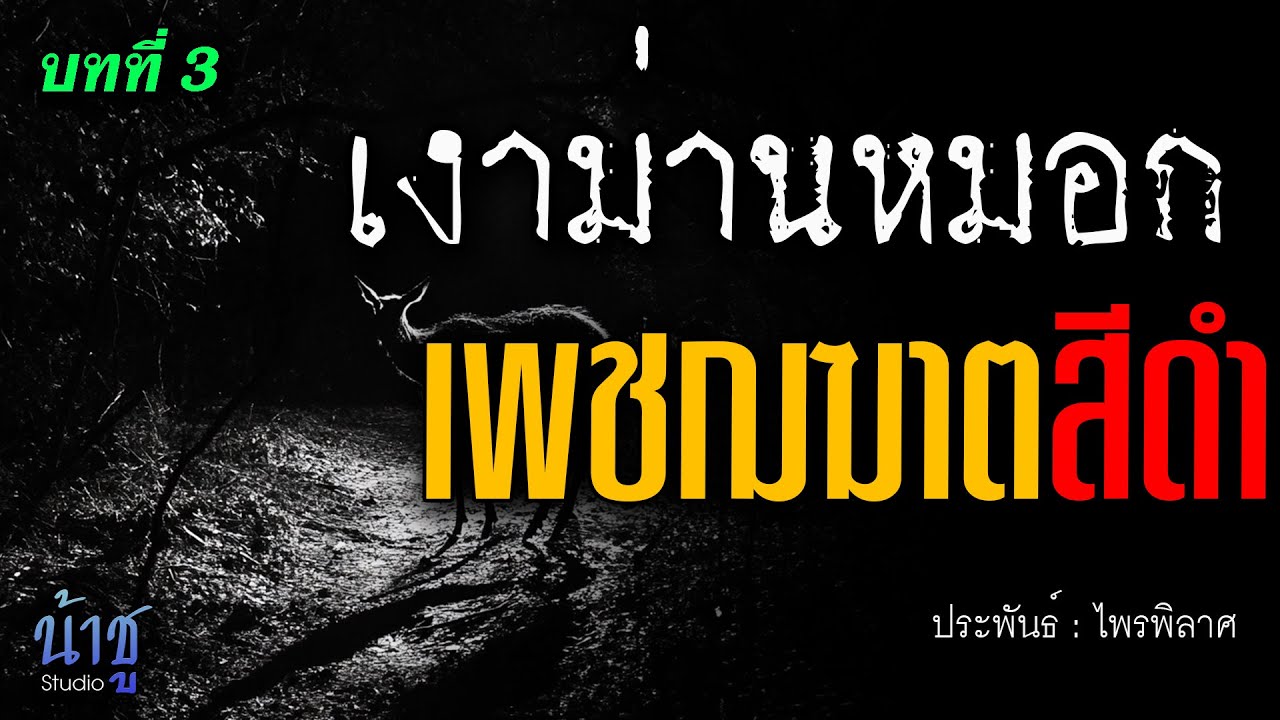 เพชฌฆาตสีดำ! บทที่ 3 เงาม่านหมอก | นิยายเสียง🎙️น้าชู เพชฌฆาตสีดำ! บทที่ 3 เงาม่านหมอก | นิยายเสียง🎙️น้าชู