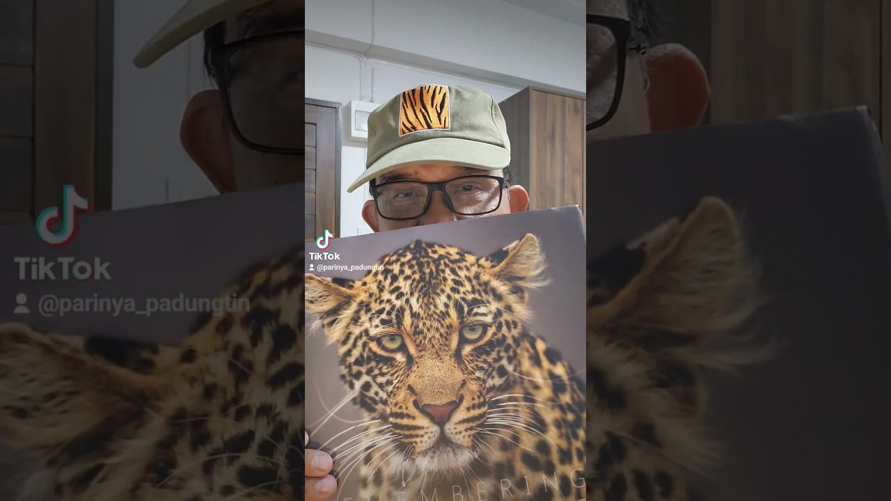 แนะนำหนังสือภาพเสือดาว ดีที่สุดในโลก แนะนำหนังสือภาพเสือดาว ดีที่สุดในโลก