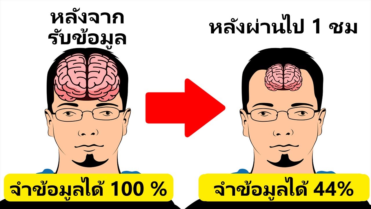 11 เคล็ดลับในการจดจำสิ่งต่างๆ ได้เร็วกว่าคนอื่น 11 เคล็ดลับในการจดจำสิ่งต่างๆ ได้เร็วกว่าคนอื่น