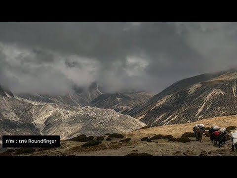 แนะนำหนังสือ ‘หิมาลัยไม่มีจริง’ by นิ้วกลม แนะนำหนังสือ ‘หิมาลัยไม่มีจริง’ by นิ้วกลม