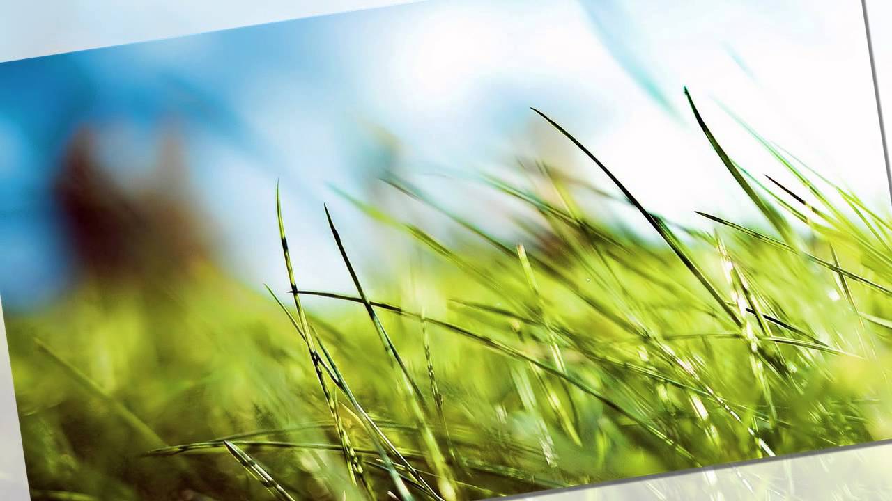 เสียงอ่านหนังสือกลัวเกิดไม่กลัวตาย ตอนที่ ๖-๗ อ.ประเสริฐ อุทัยเฉลิม เสียงอ่านหนังสือกลัวเกิดไม่กลัวตาย ตอนที่ ๖-๗ อ.ประเสริฐ อุทัยเฉลิม